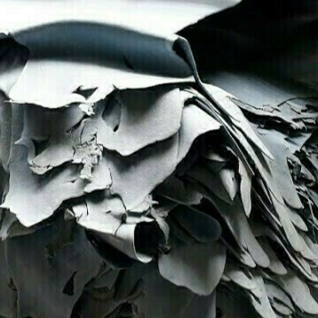 Wet-blue and wet-white